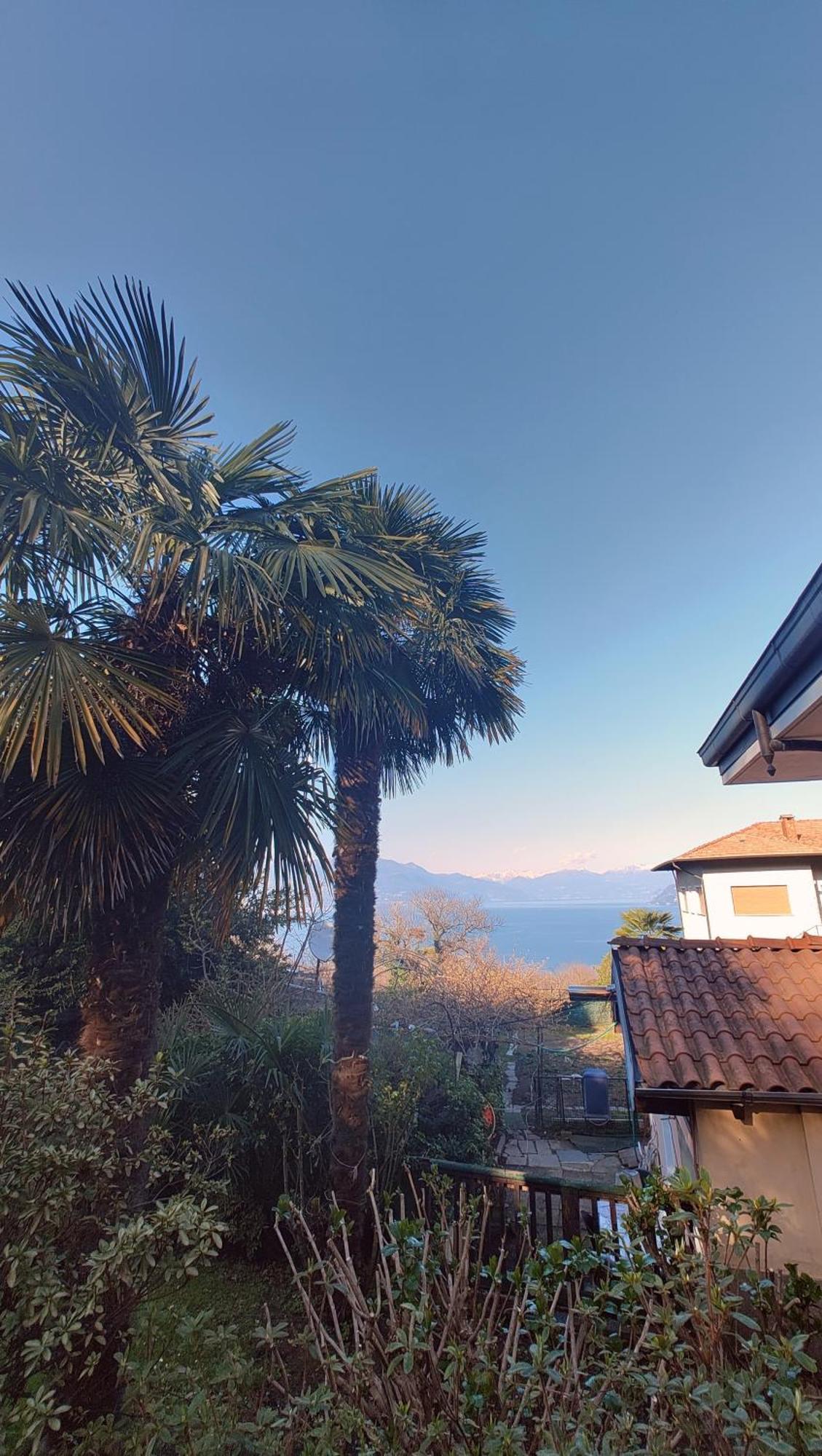 King Room Garden View